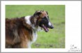 /album/fotogalerie-terence-fi-it/ib-p007-0-10-jpg/