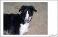 /album/fotogalerie-treck-fi-it/ib-p006-1-8-jpg/